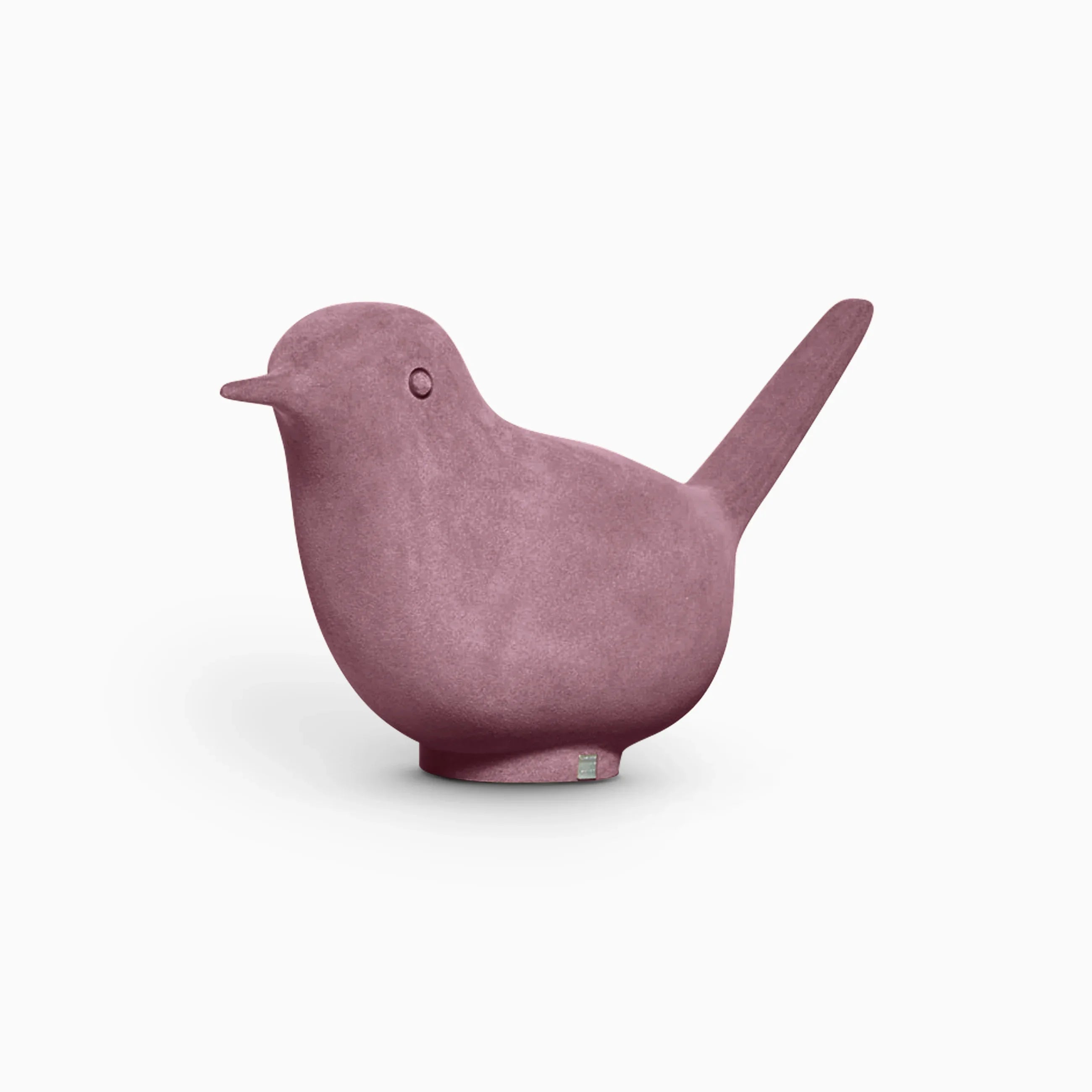 Pulcino Moleskin - Serralunga