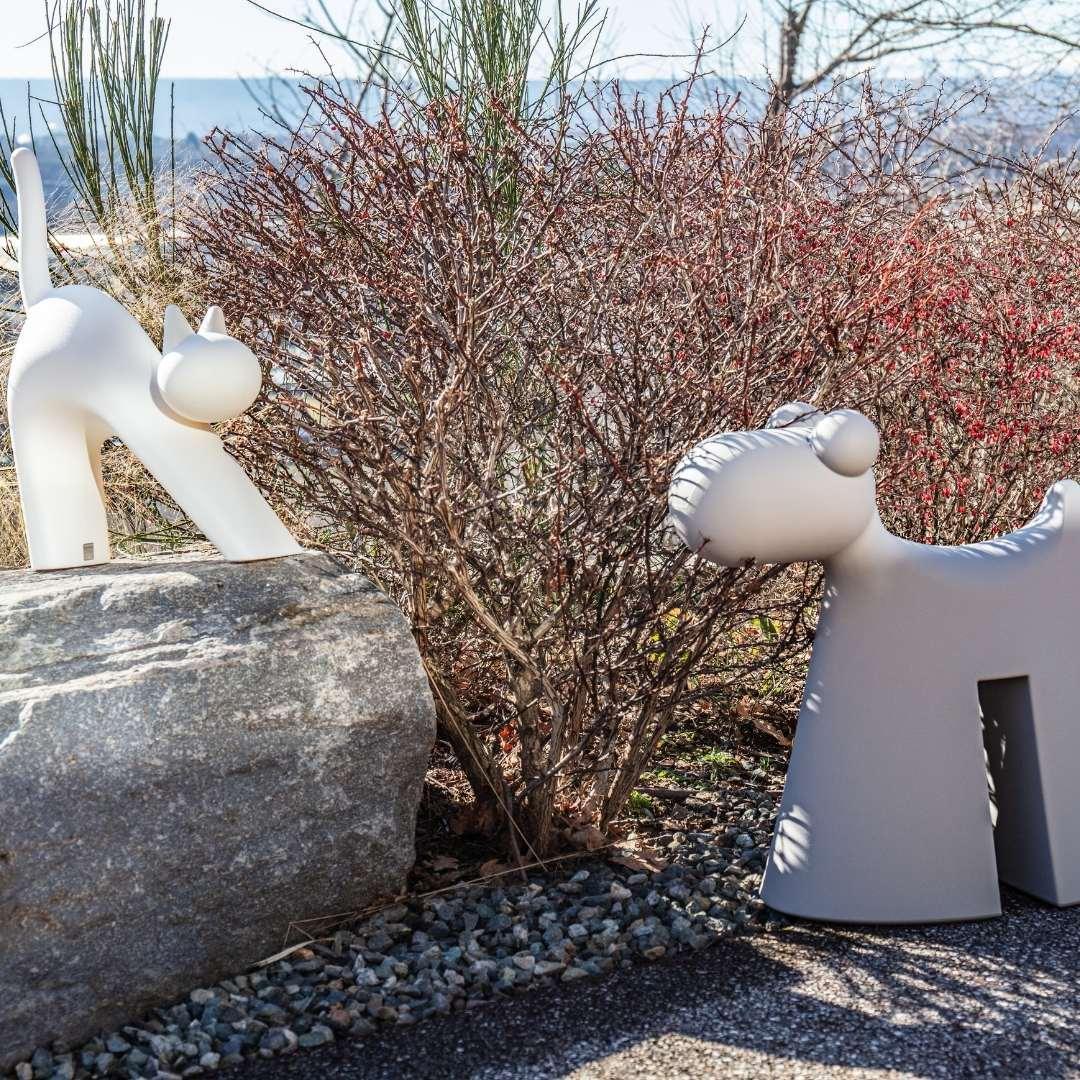 Gatt-One - Serralunga