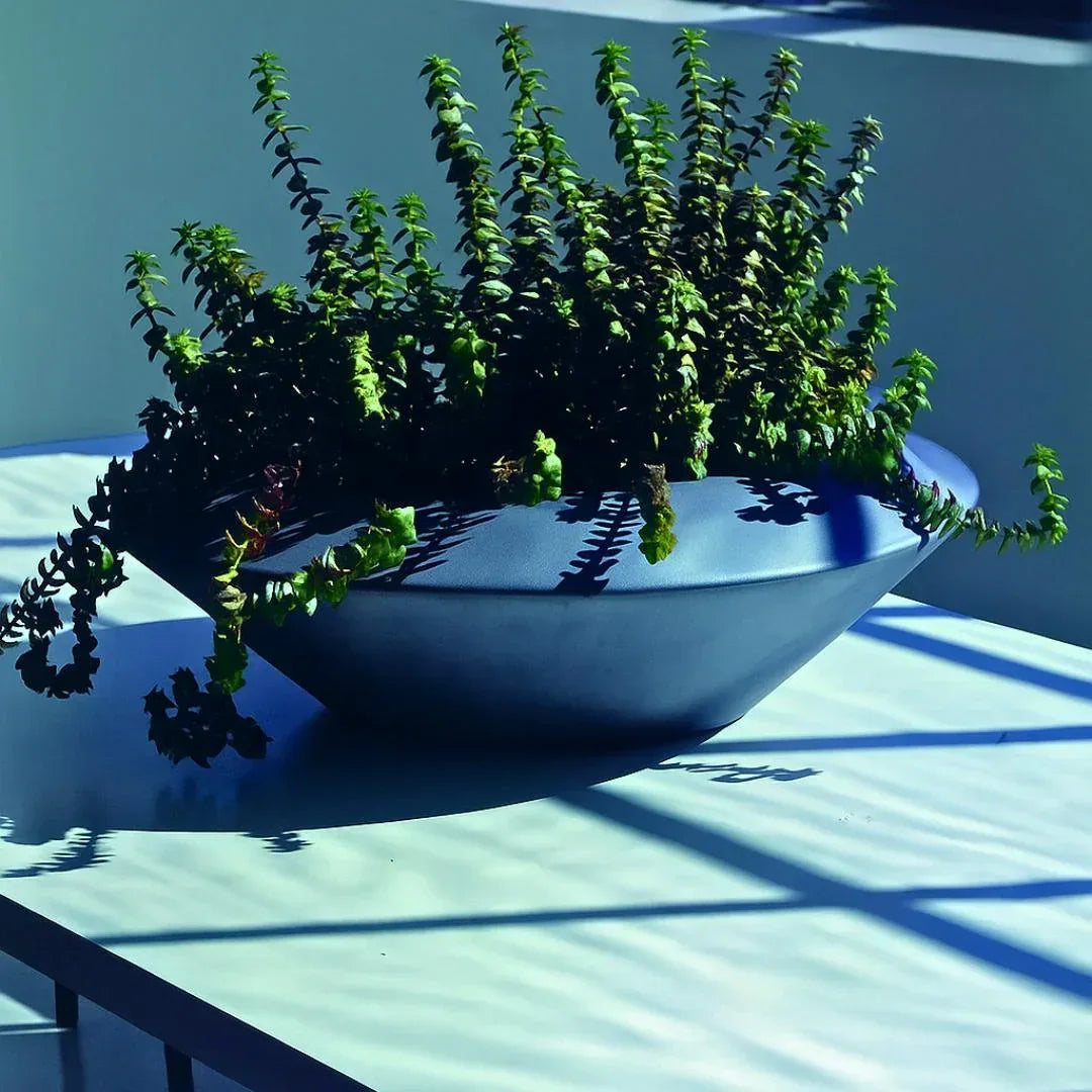 In Orbita Planter - Serralunga