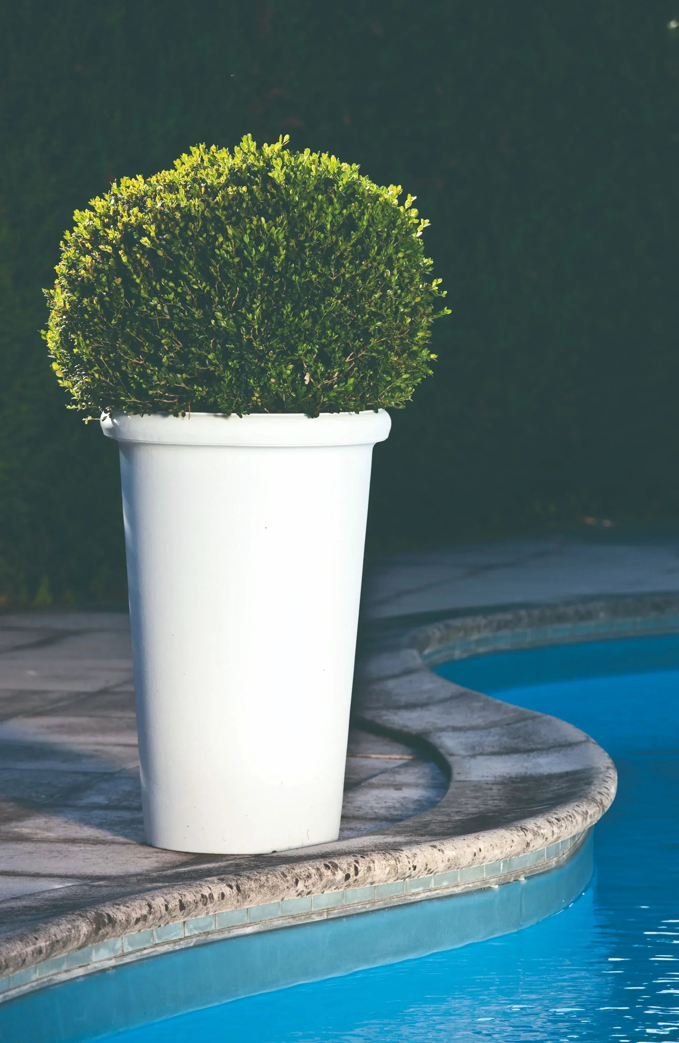 Camelia High Planter - Serralunga