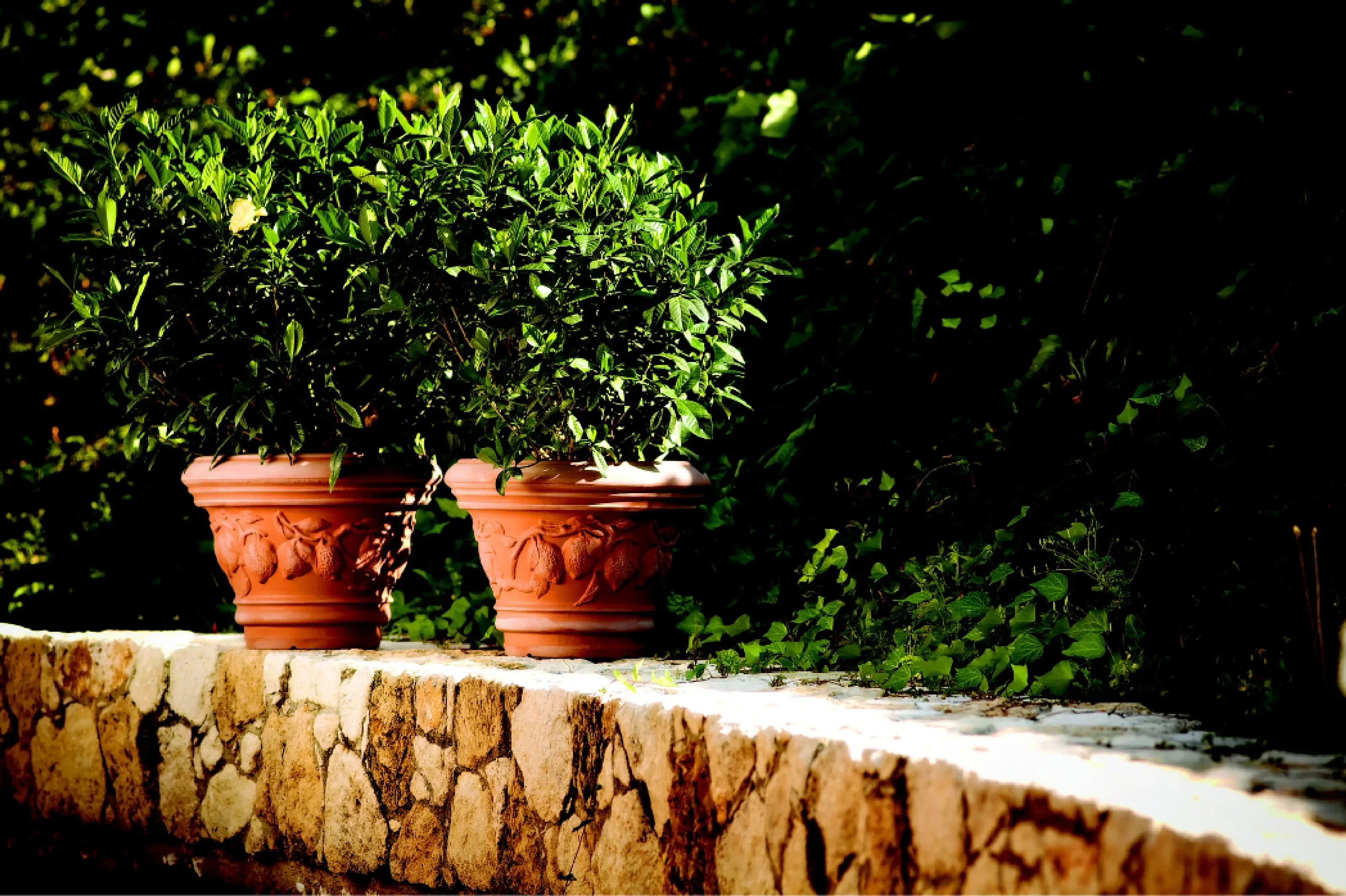 Decorati Limoni Planter - Serralunga