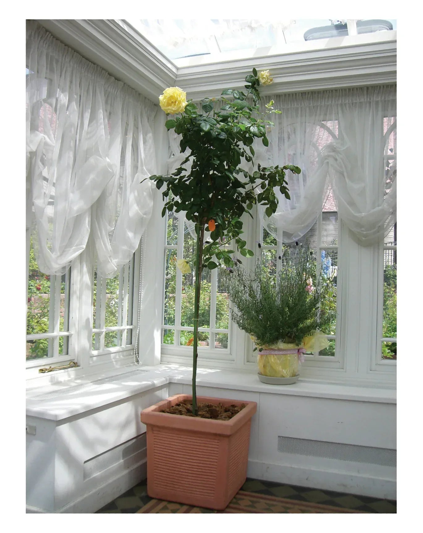 Millerighe Quadrato Planter - Serralunga