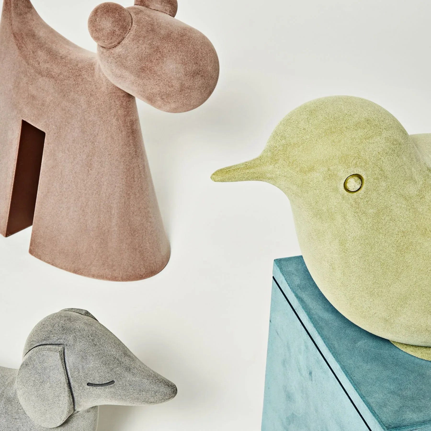 Doggy Moleskin - Serralunga