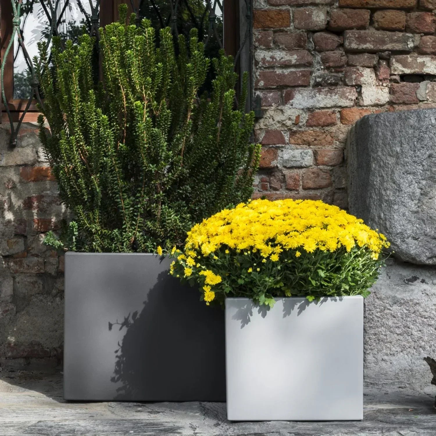 Cubotti Deep Planter - Serralunga