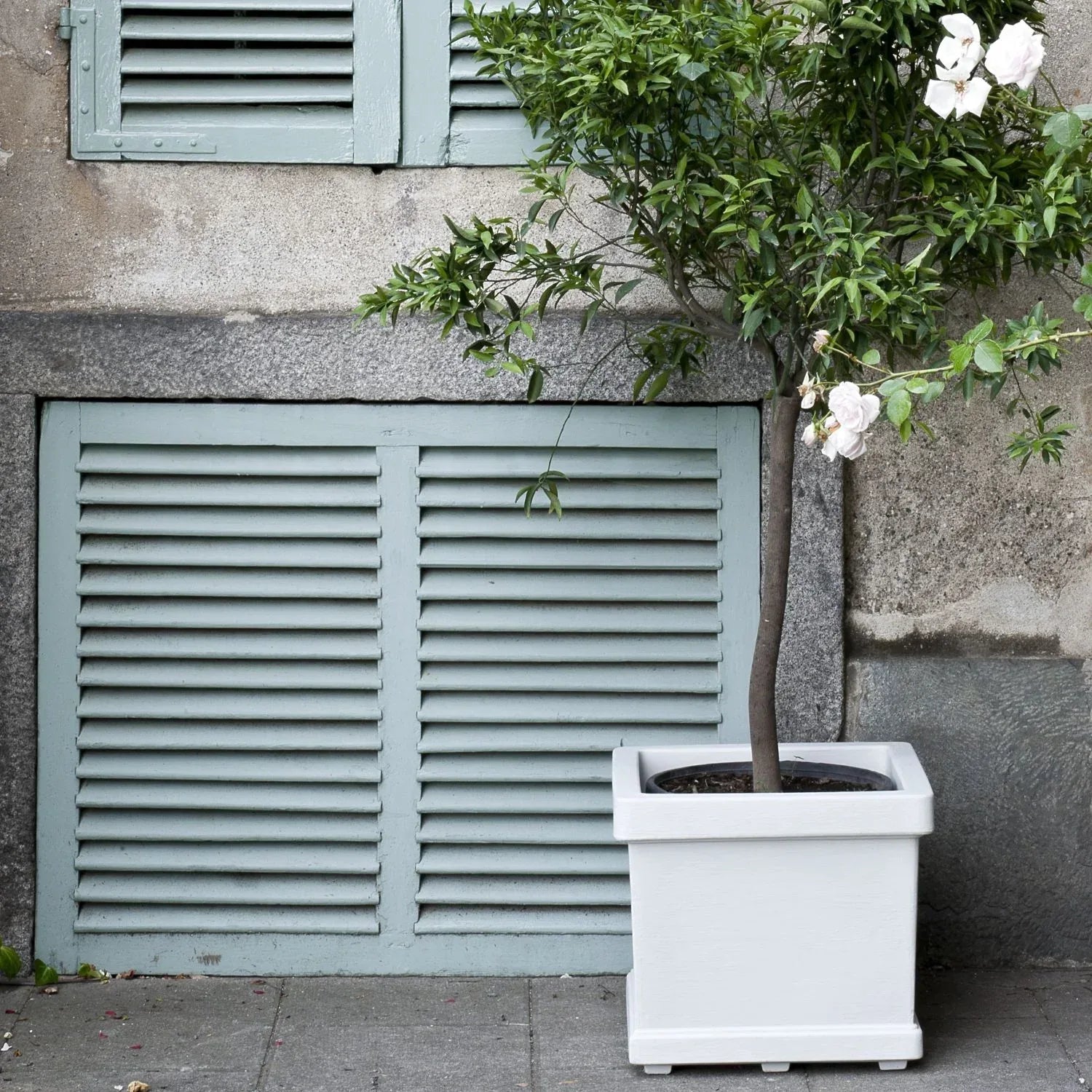 Neoclassic Quadro Liscio Planter - Serralunga