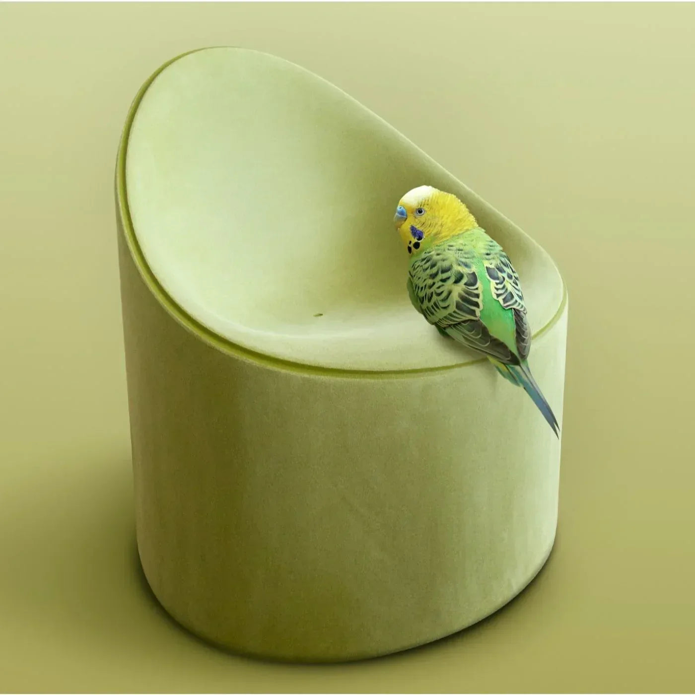 Bay Armchair Moleskin - Serralunga