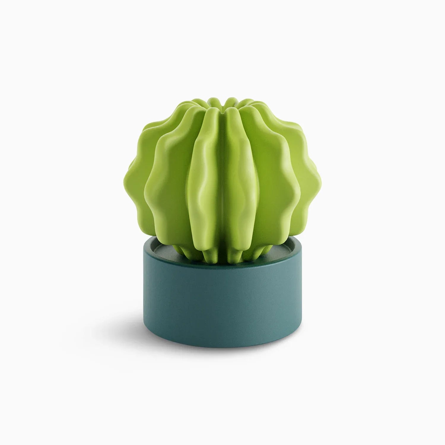 Cactus Large - Serralunga