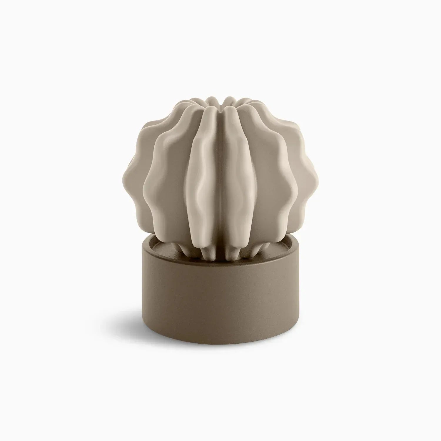 Cactus Large - Serralunga