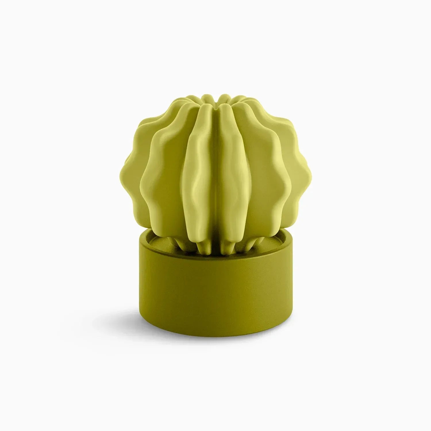 Cactus Large - Serralunga