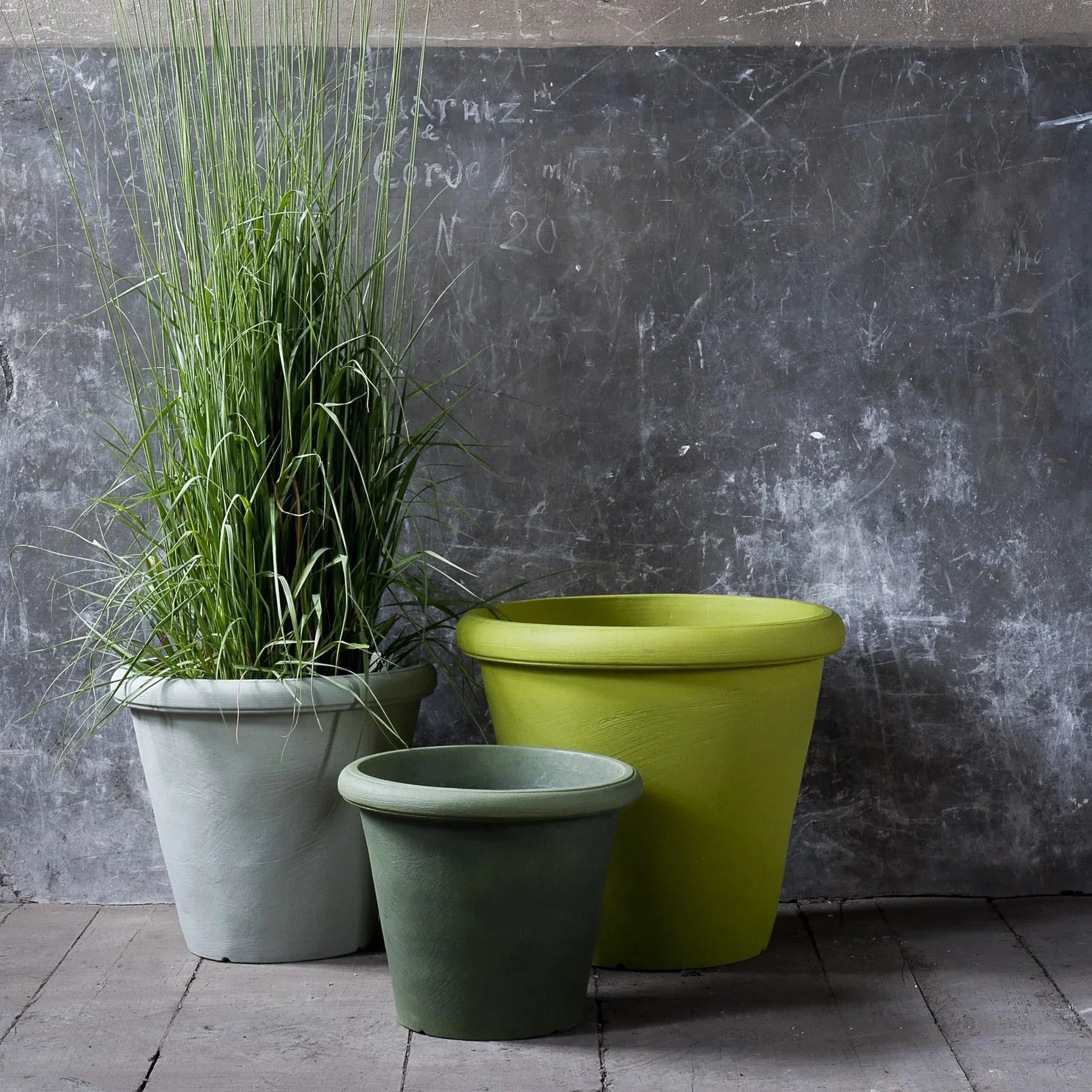 Camelia Planter - Serralunga