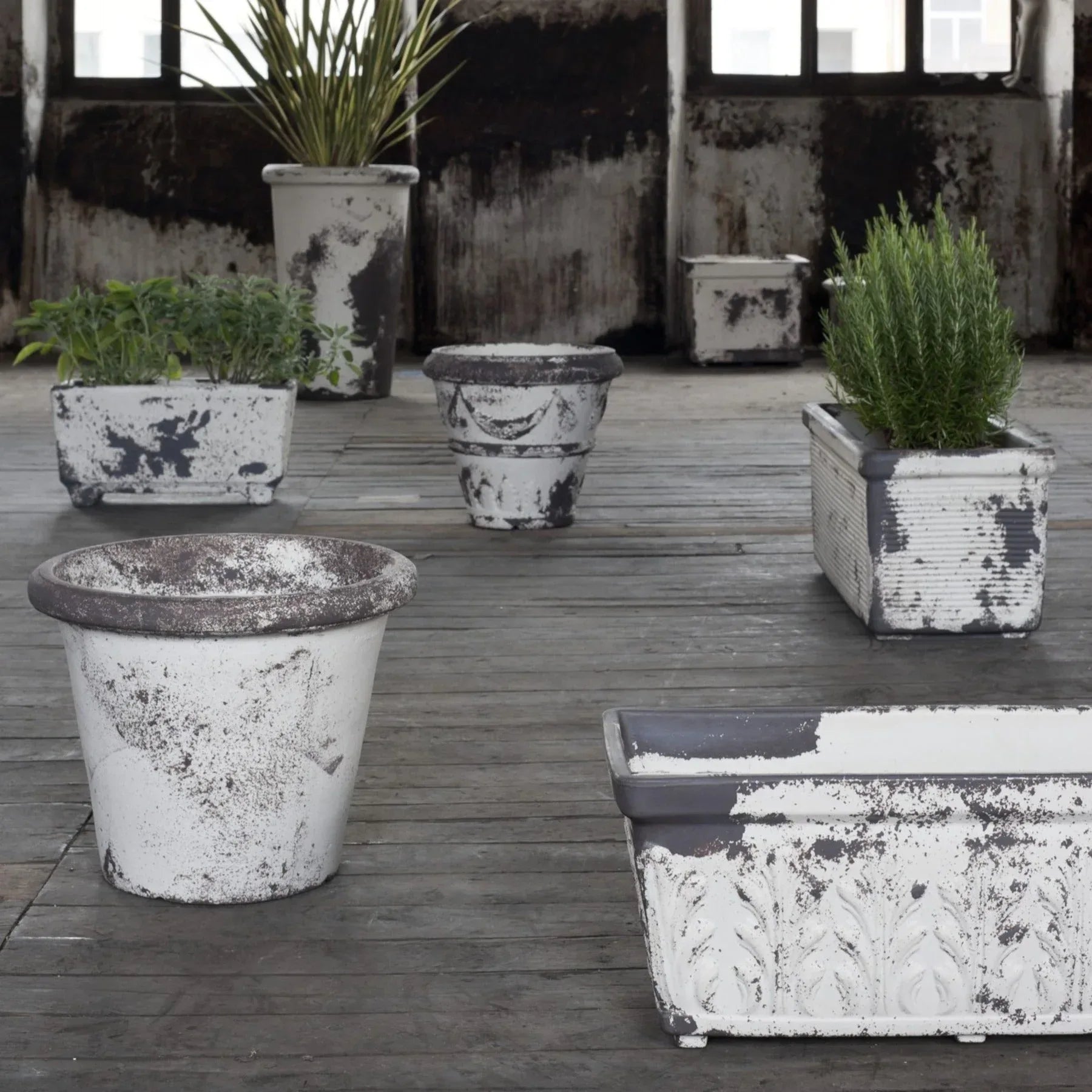 Camelia Planter - Serralunga