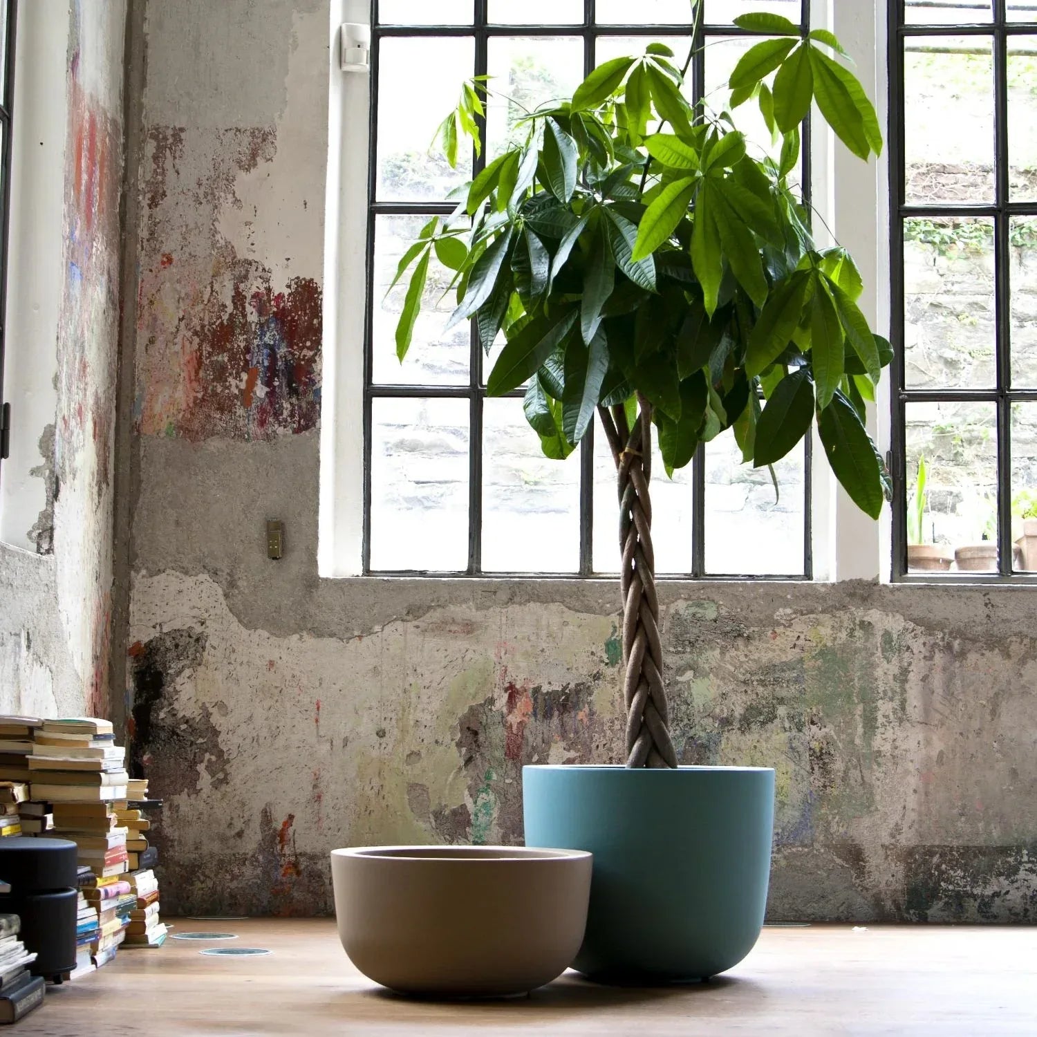 Cup Small Planter - Serralunga