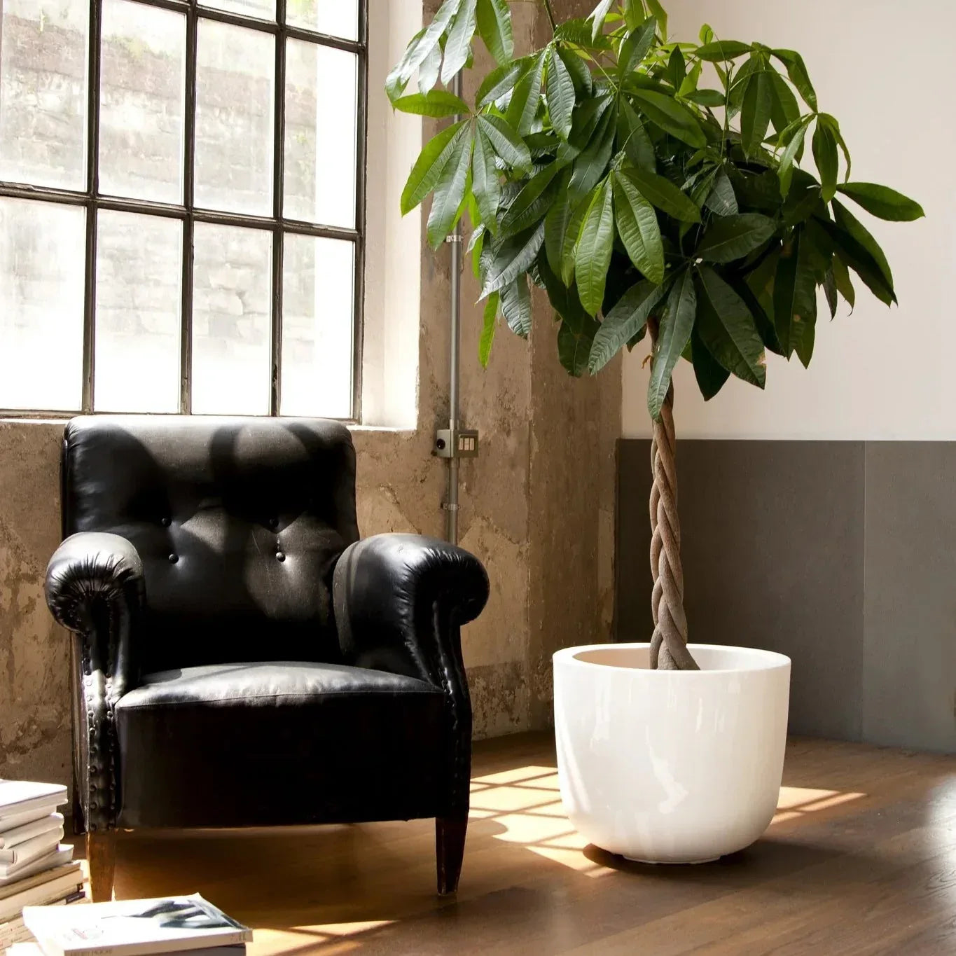 Cup Big Planter - Serralunga