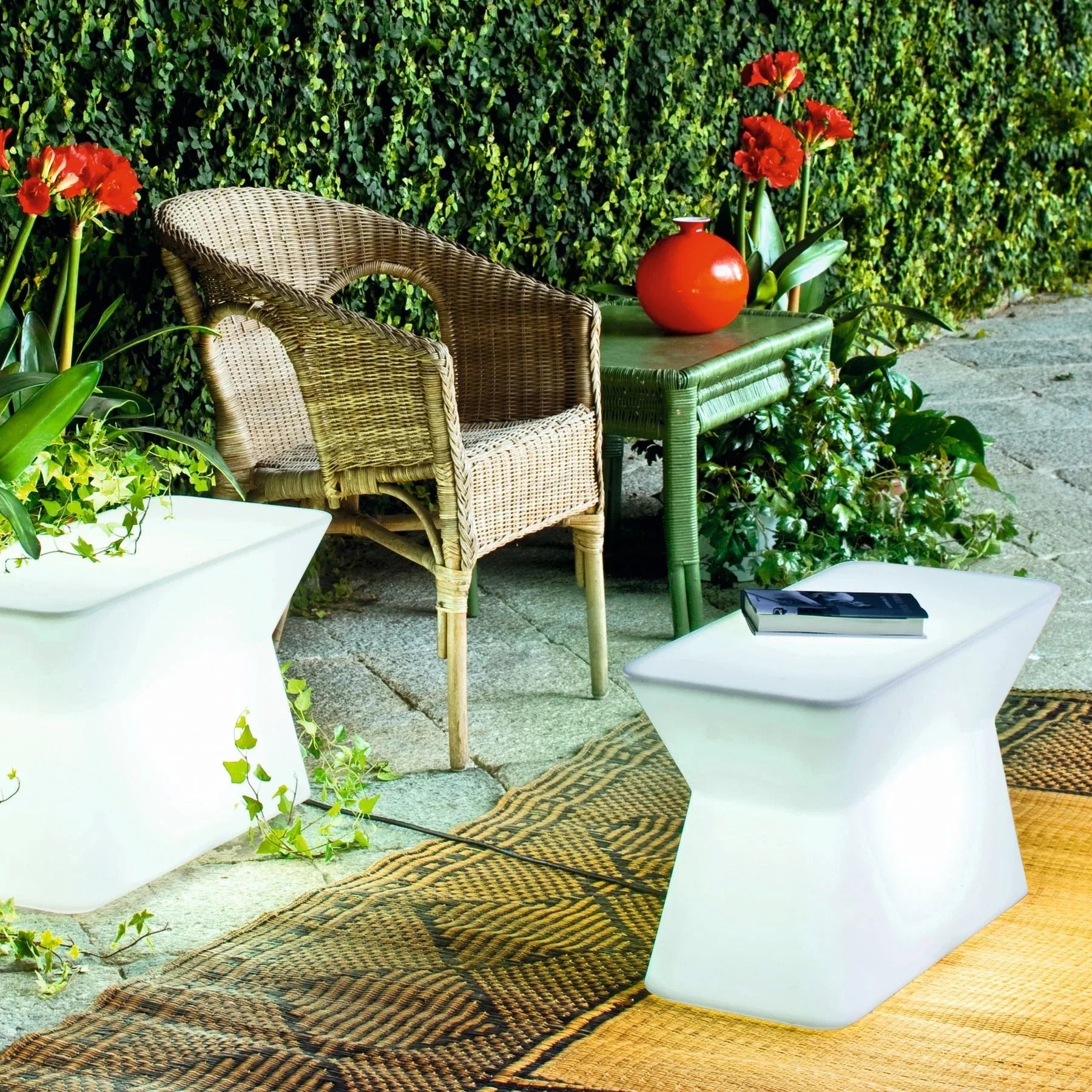 Palenquera with light - Serralunga