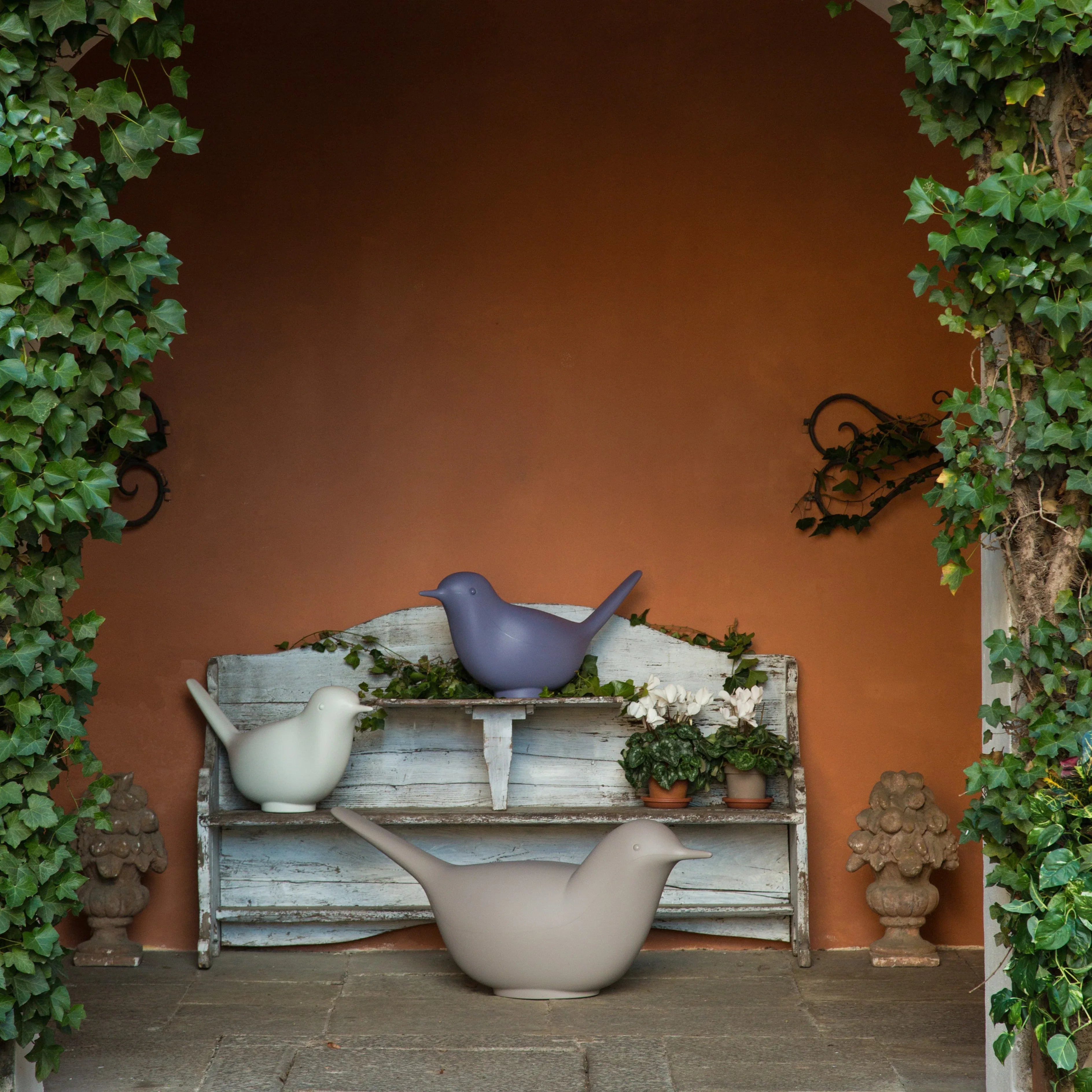 Pulcino - Serralunga