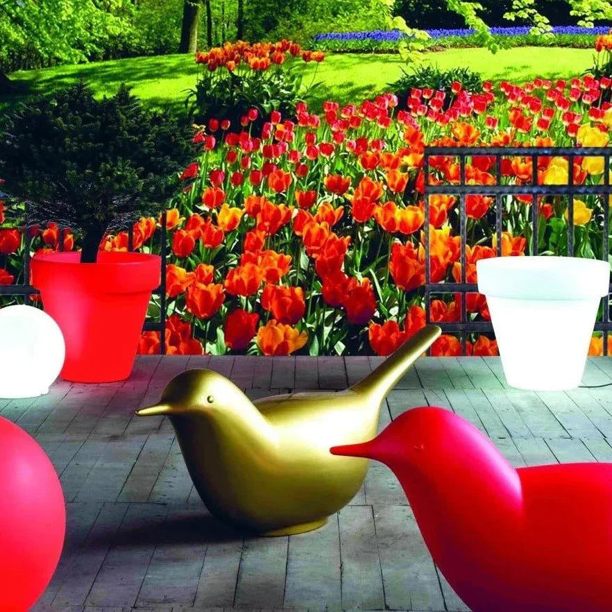 Pulcino - Serralunga