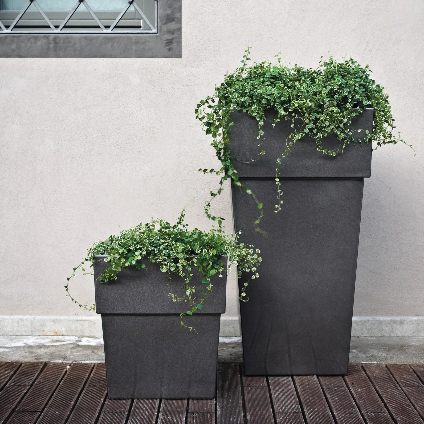 Torre Planter - Serralunga