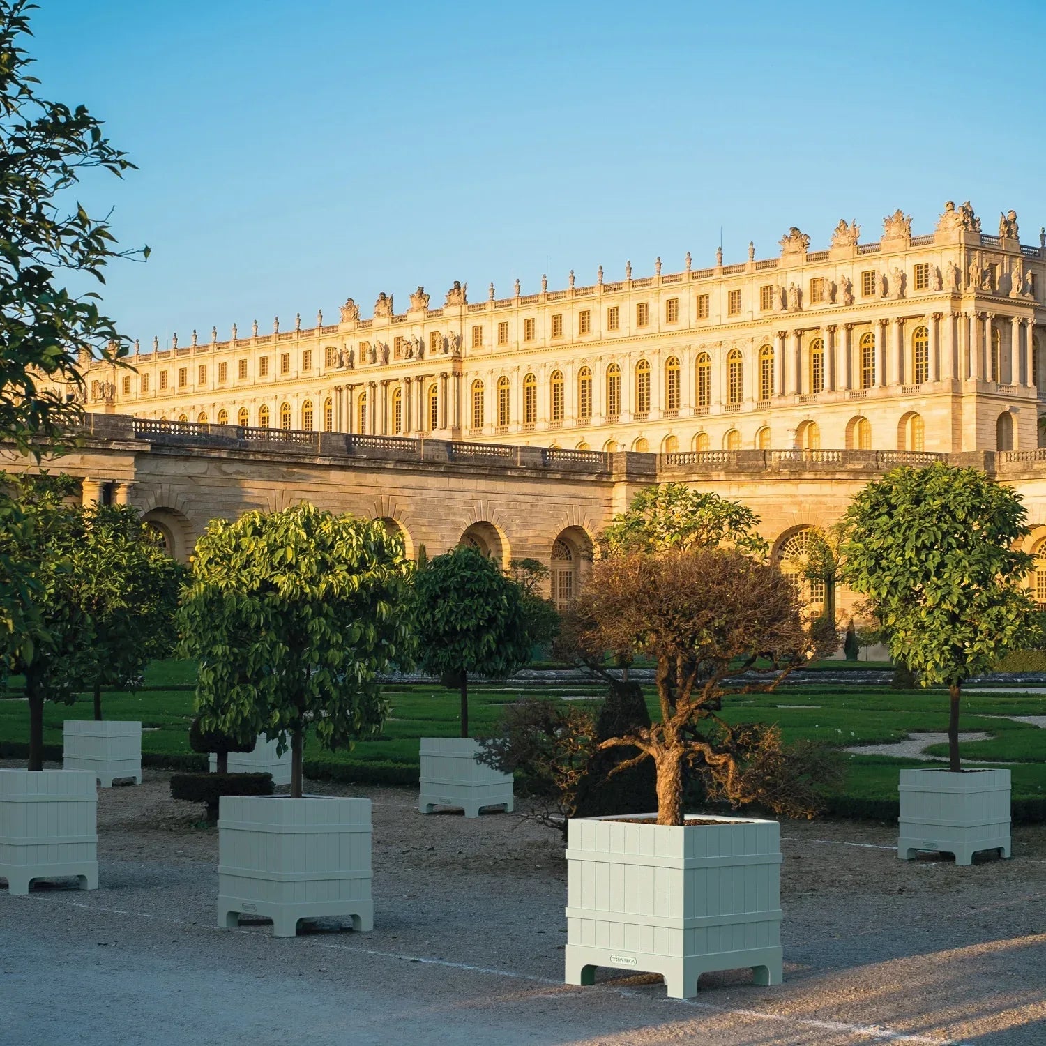 Versailles Planter - Serralunga