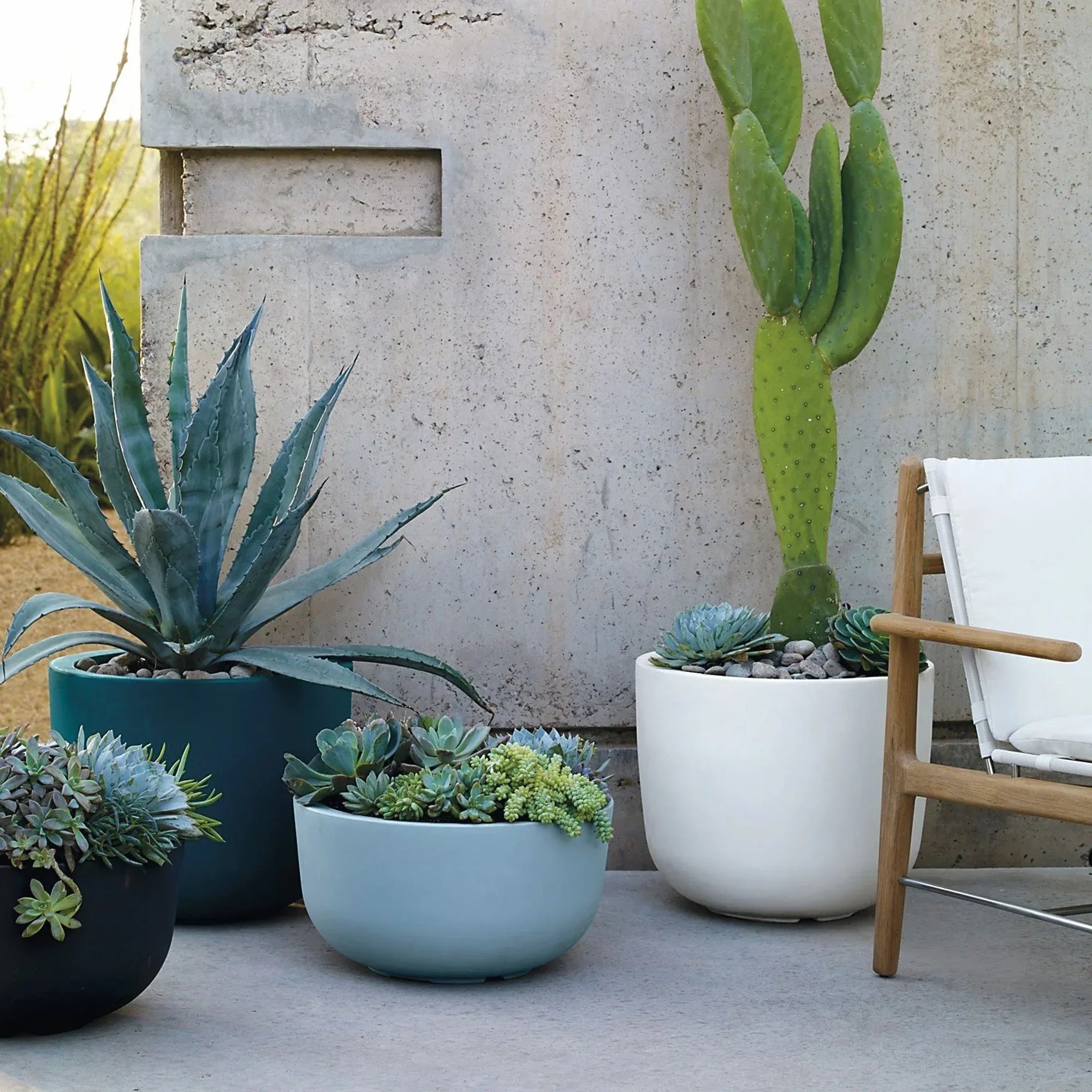 Cup Big Planter - Serralunga