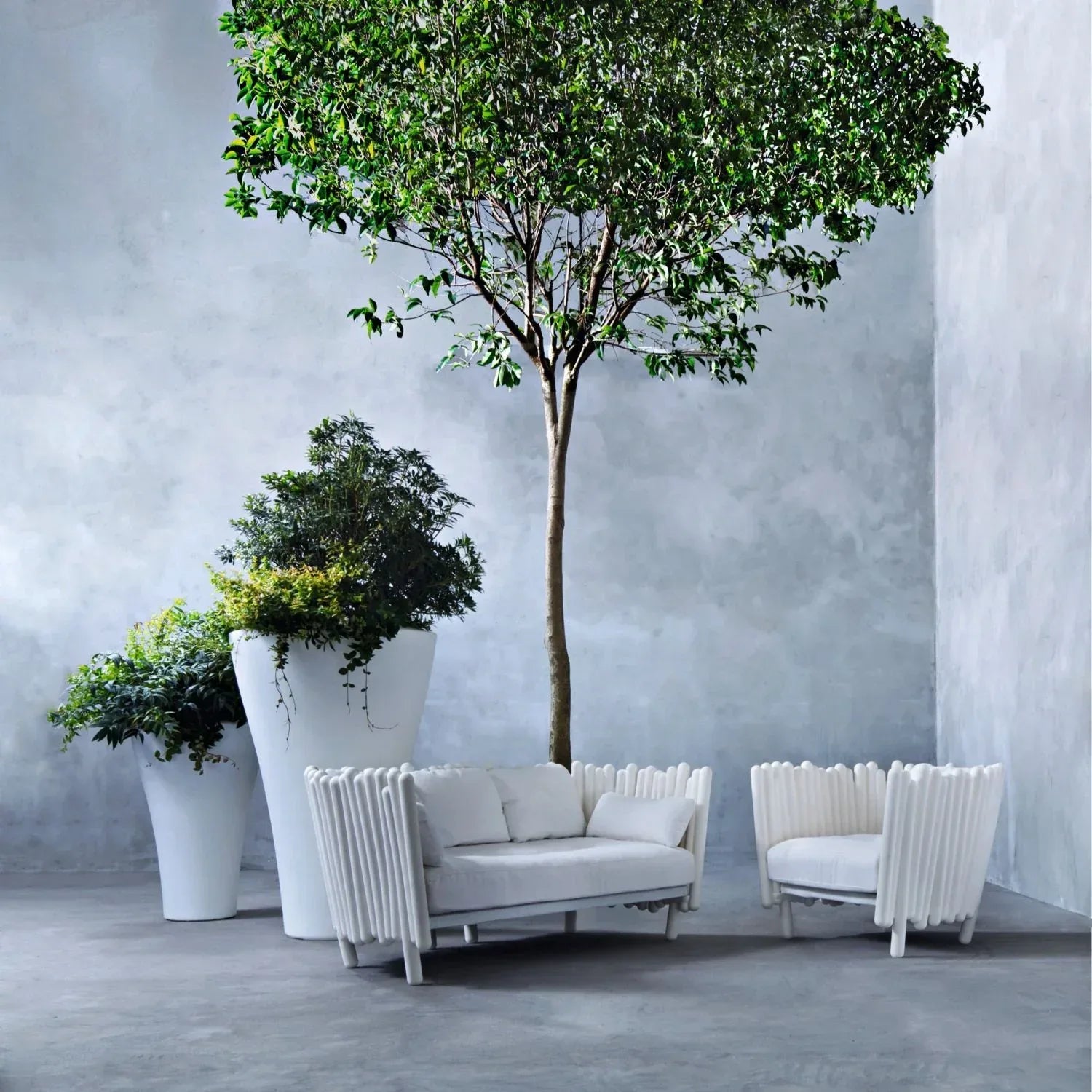 Canisse Sofa - Serralunga