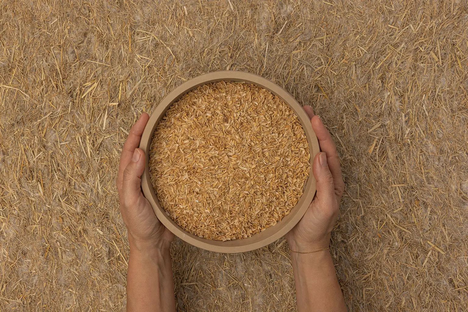 Rice Husks: Sustainable Innovation Between Design and Natural Material